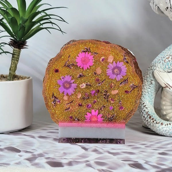 Juego de posavasos Daisy prensado naturalmente con soporte de almacenamiento, protectores de bebidas florales caprichosos, idea de regalo hecha a mano única, decoración elegante de mesa