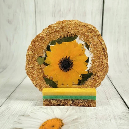 Juego de posavasos de resina de girasol y helechos de 4, incrustaciones botánicas reales, decoración del hogar inspirada en la naturaleza, soporte de almacenamiento sostenible y ecológico