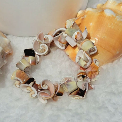 Beach Vibe Seashell Bracelet - Spiral Pattern